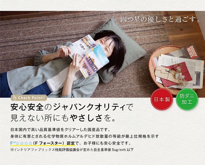 シンプルなストライプデザインラグ タイプフォー