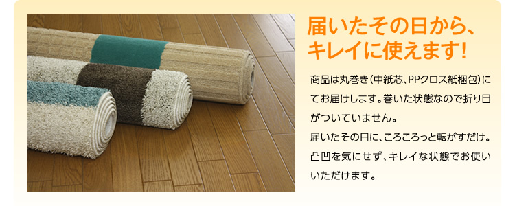 アルスキー ラグ