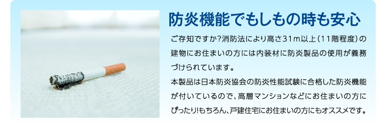 アルスキー ラグ