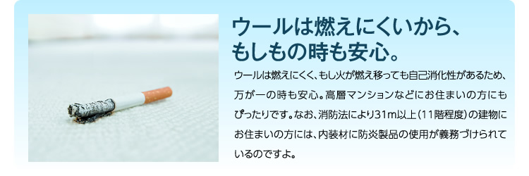 カレルラ ラグ