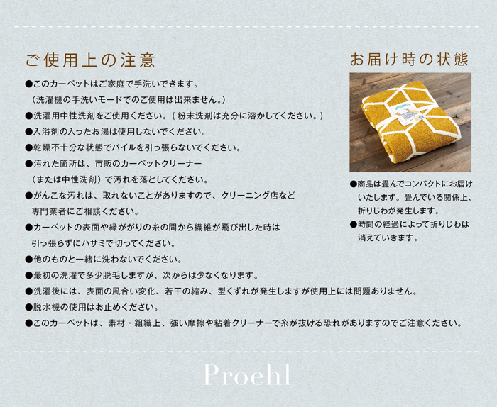 ご使用上の注意
