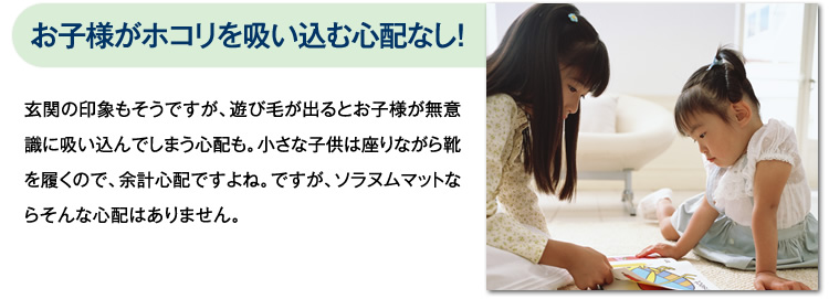 ソラヌム マット